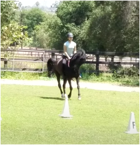 Me riding Sadie