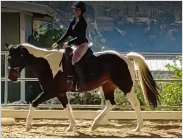 Me riding Sammy